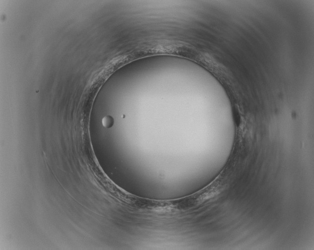 X0000055520306200509022130