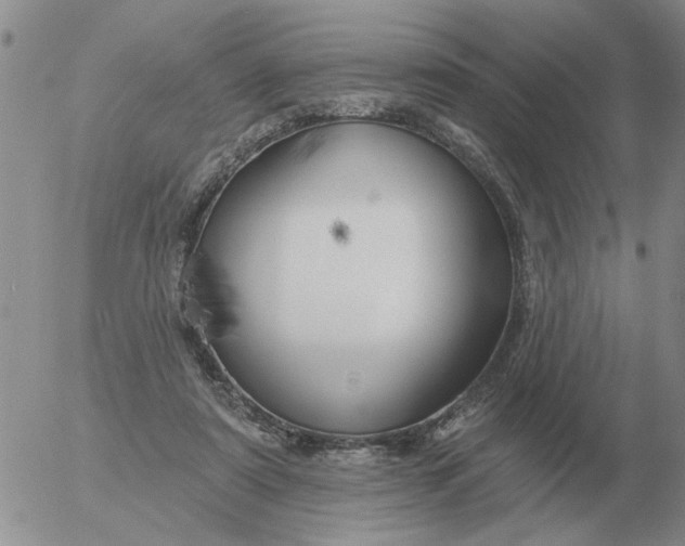 X0000055520307200509022130