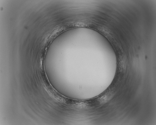 X0000055520310200509022130