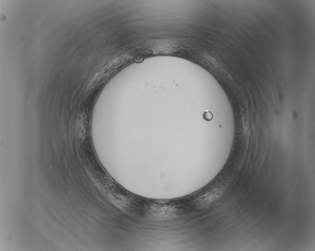 X0000055520311200509022130