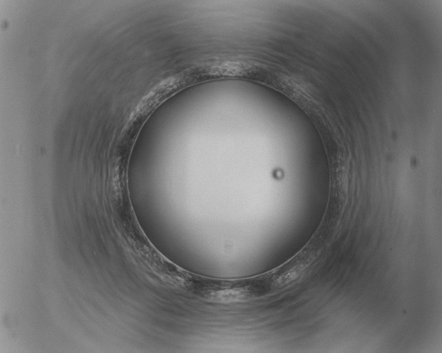 X0000055520312200509022130