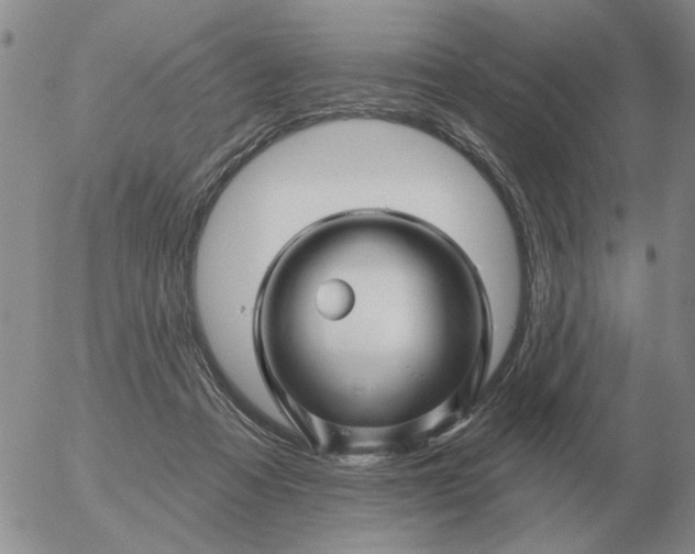 X0000055520313200509022130