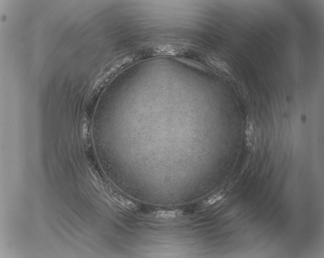 X0000055520314200509022130