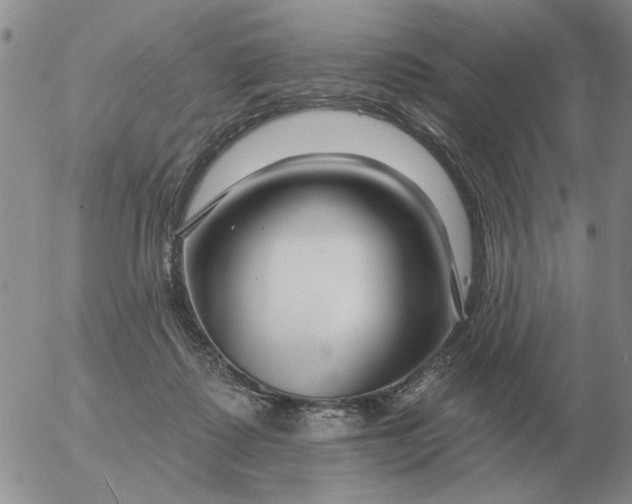 X0000055520315200509022130