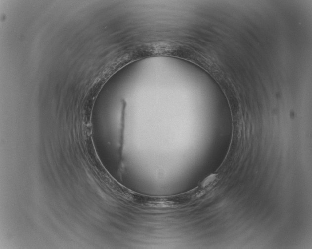 X0000055520316200509022130