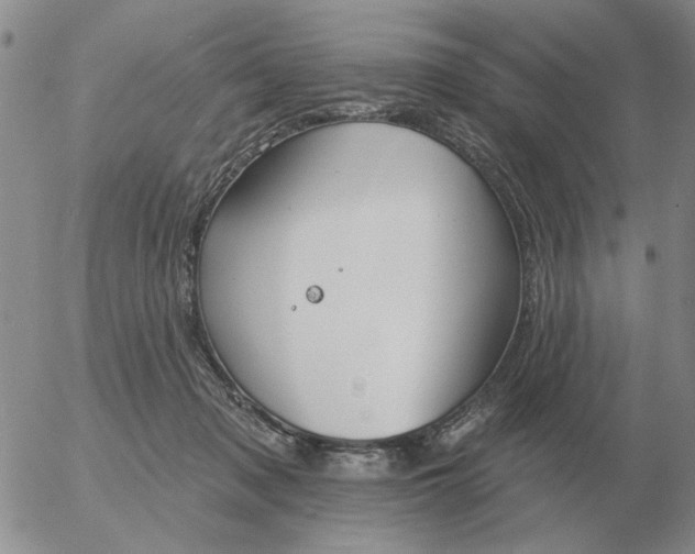 X0000055520317200509022130