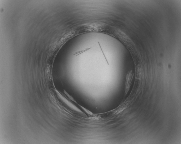 X0000055520318200509022130