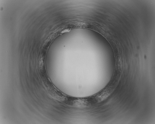 X0000055520320200509022130