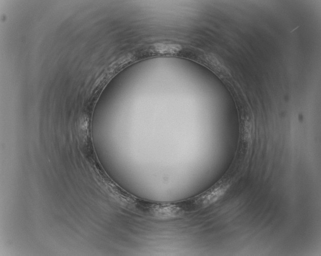 X0000055520321200509022130