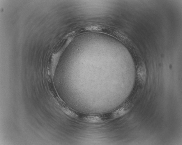 X0000055520322200509022130