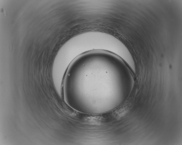 X0000055520323200509022130