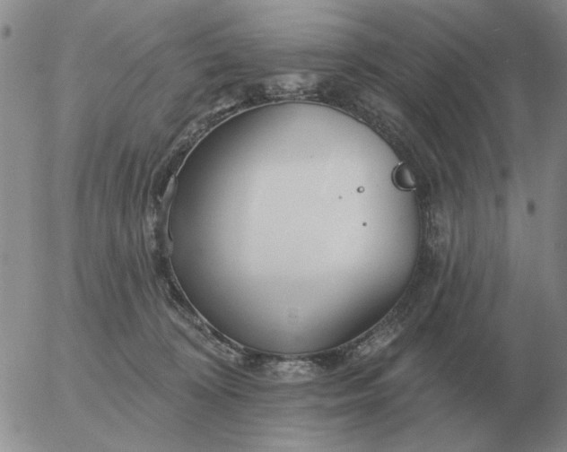 X0000055520324200509022130