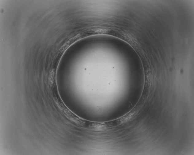 X0000055520325200509022130