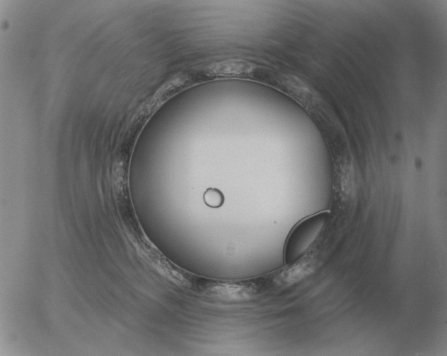 X0000055520326200509022130