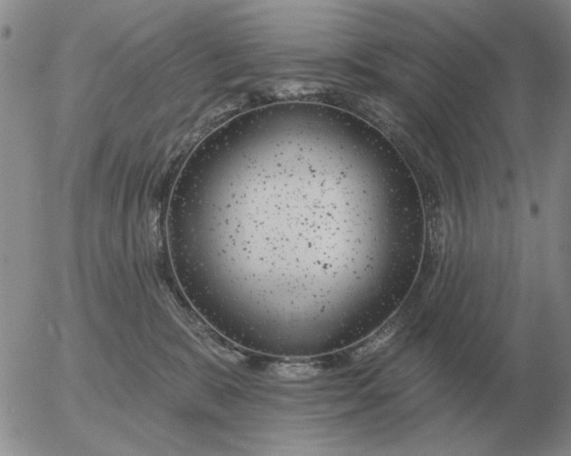 X0000055520327200509022130