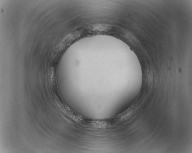 X0000055520328200509022130