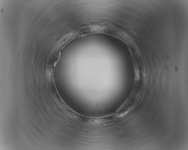 X0000055520329200509022130