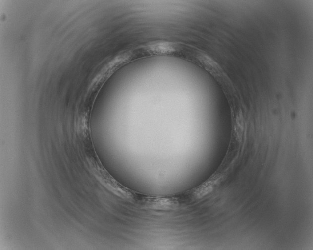 X0000055520330200509022130