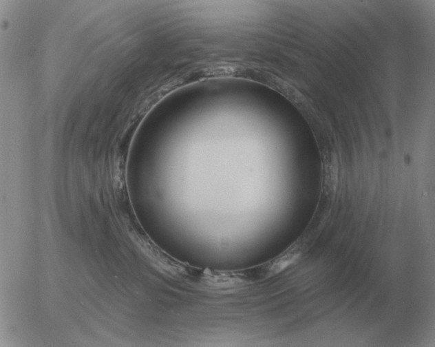 X0000055520331200509022130