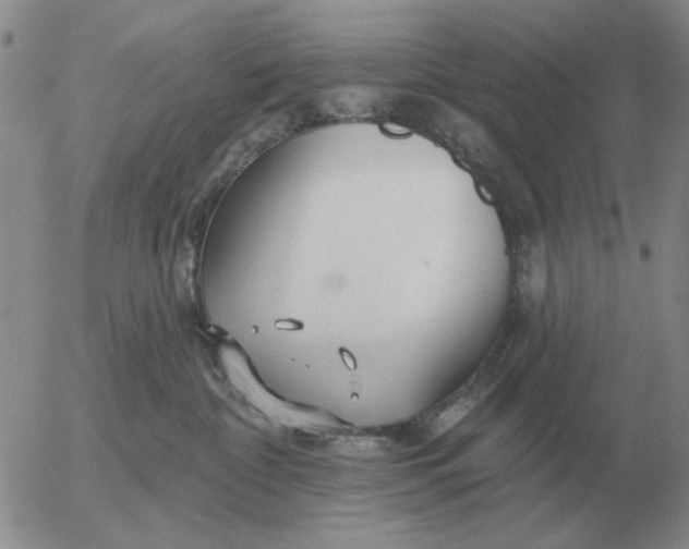 X0000055520332200509022130