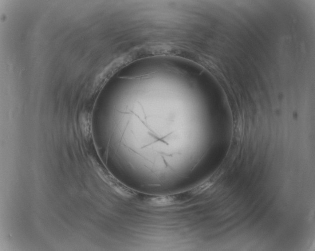 X0000055520335200509022130