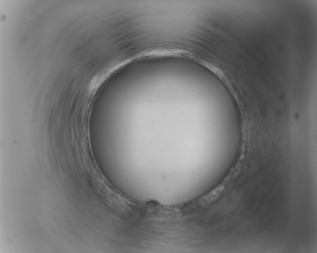 X0000055520337200509022129