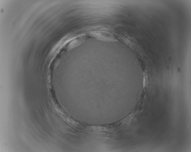 X0000055520339200509022129