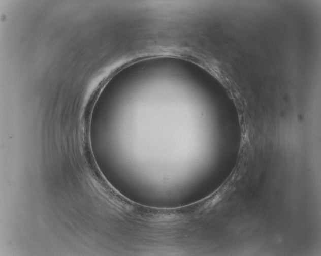 X0000055520342200509022129