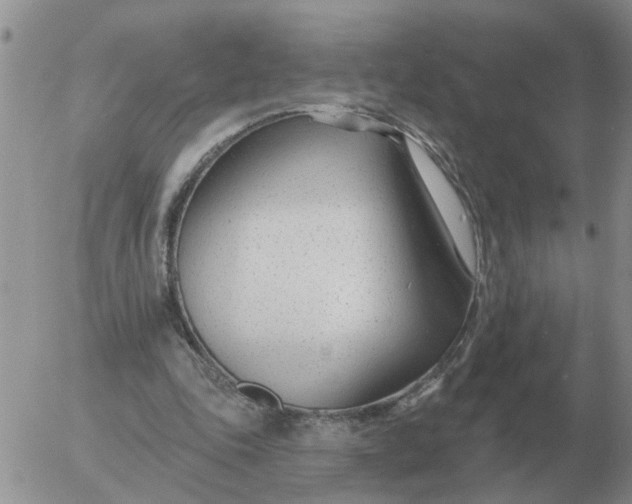 X0000055520343200509022129