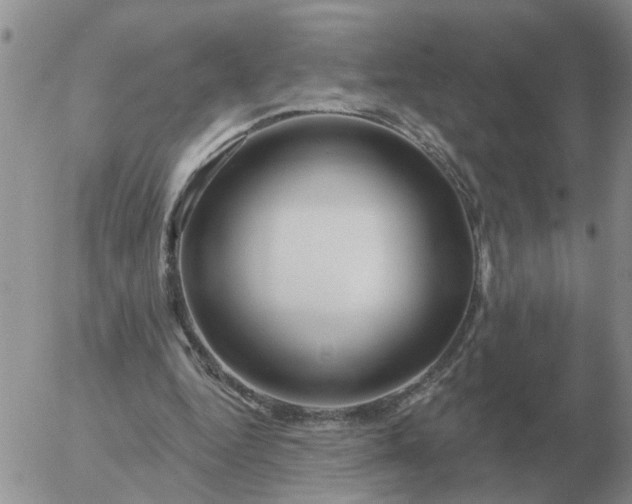 X0000055520344200509022129