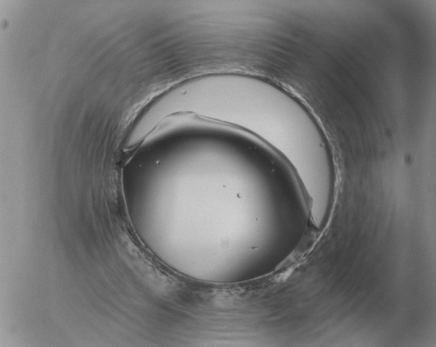 X0000055520345200509022129