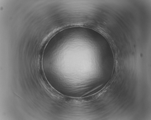 X0000055520346200509022129