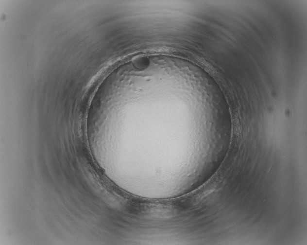 X0000055520347200509022129