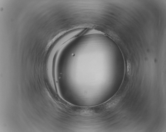 X0000055520348200509022129