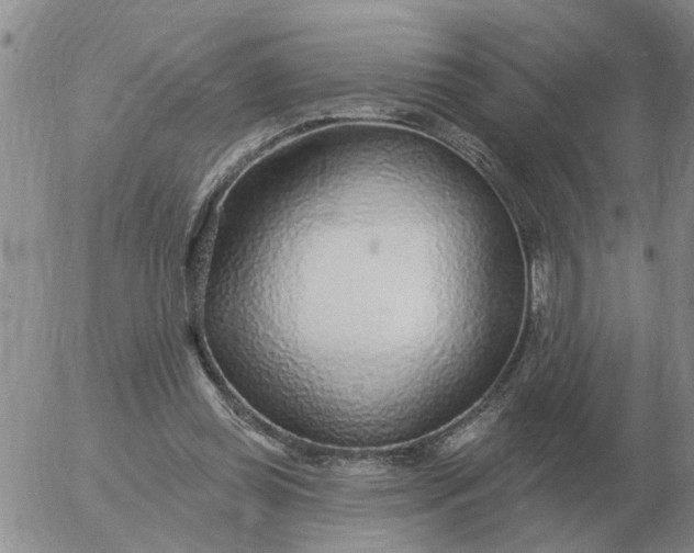 X0000055520349200509022129