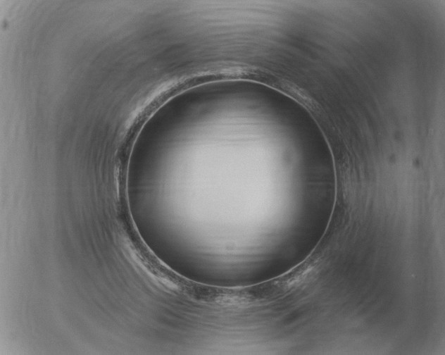 X0000055520350200509022129