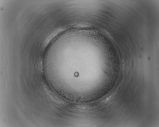 X0000055520351200509022129