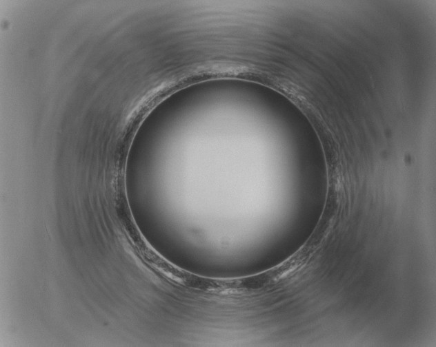 X0000055520352200509022129