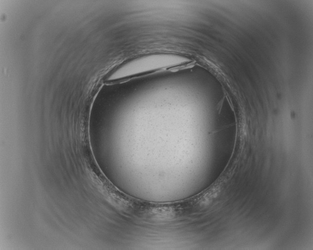 X0000055520353200509022129