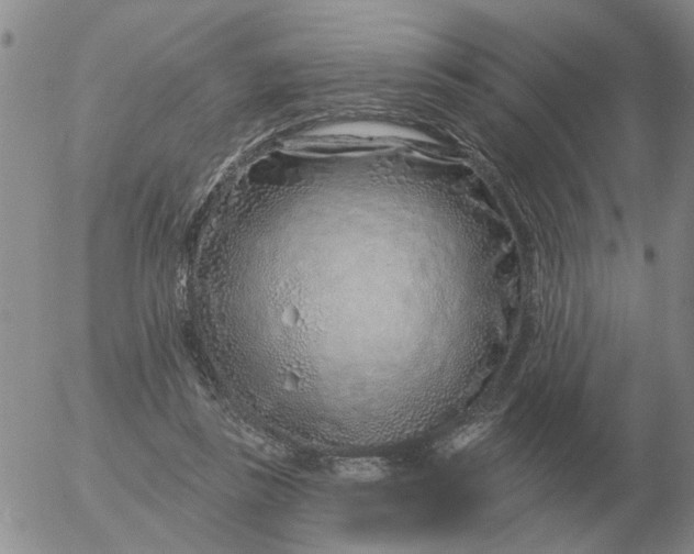 X0000055520355200509022129