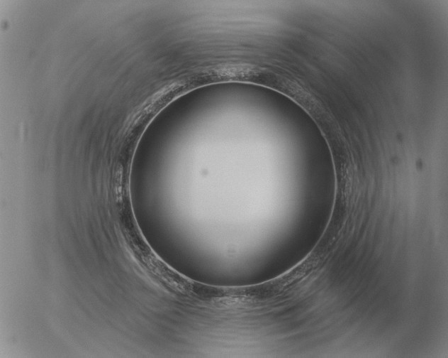 X0000055520356200509022129