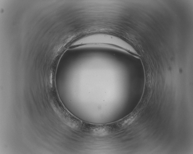 X0000055520358200509022129