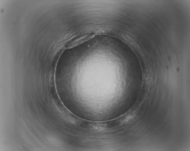 X0000055520359200509022129