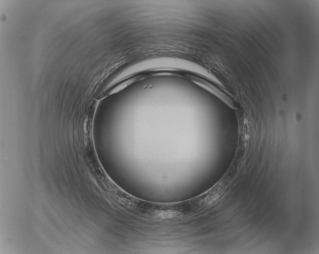 X0000055520360200509022130