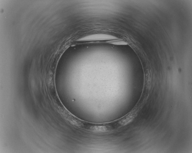 X0000055520361200509022130