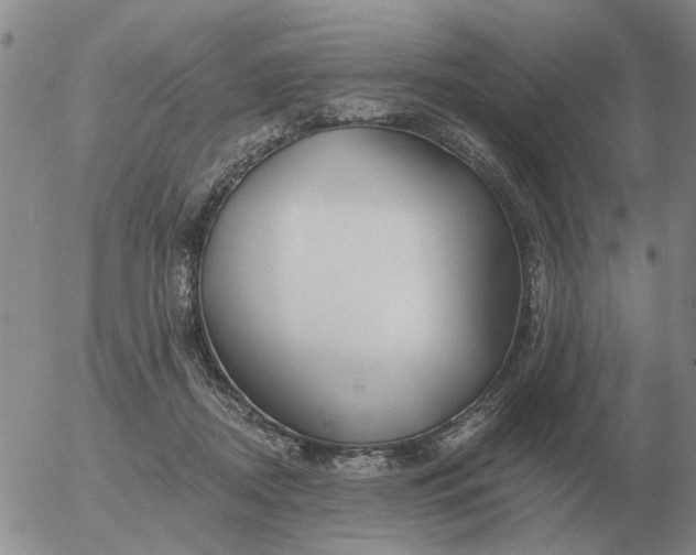 X0000055520362200509022130