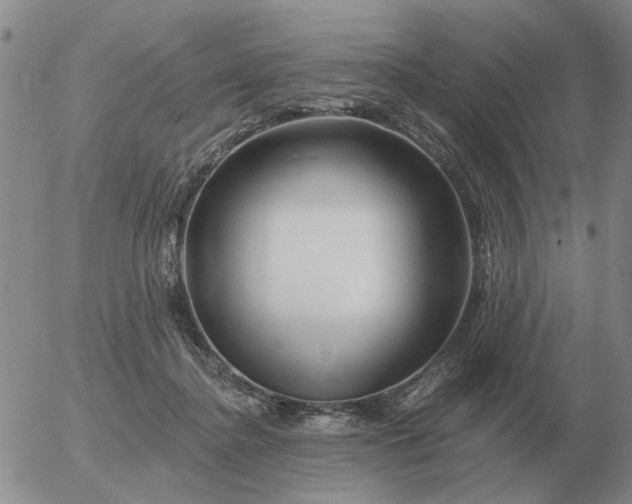 X0000055520364200509022130