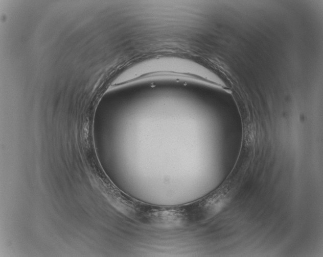 X0000055520365200509022130