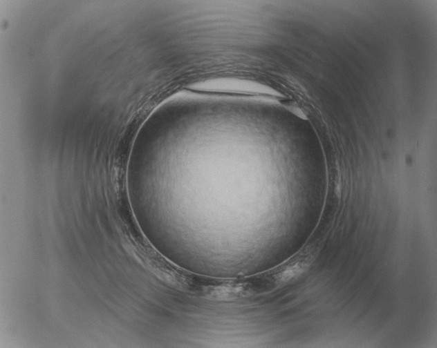 X0000055520366200509022130