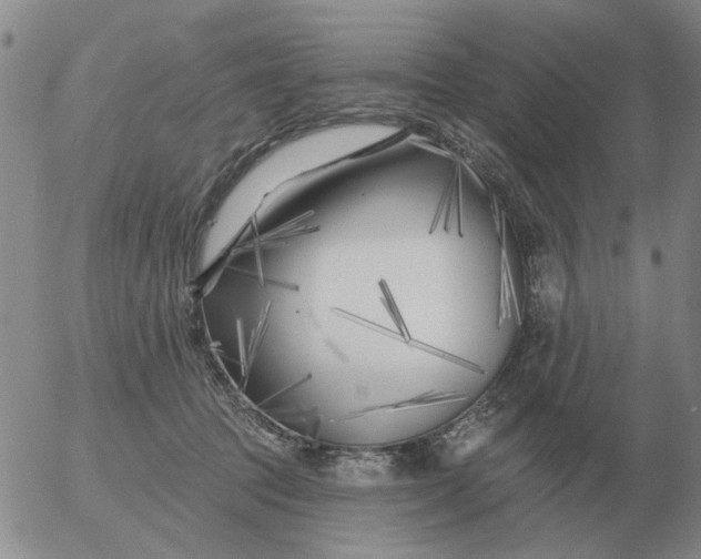 X0000055520369200509022130